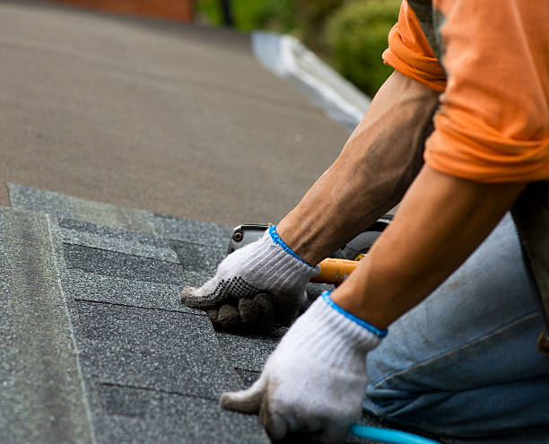 Roof Gutter Cleaning in French Lick, IN